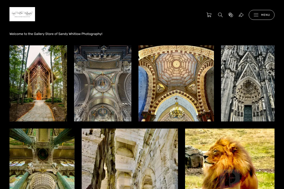 Sandy Whitlow Photography