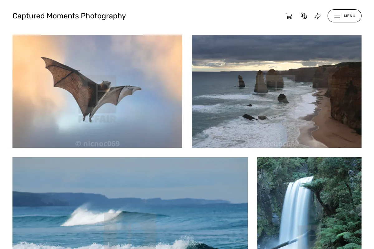 Captured Moments Photography