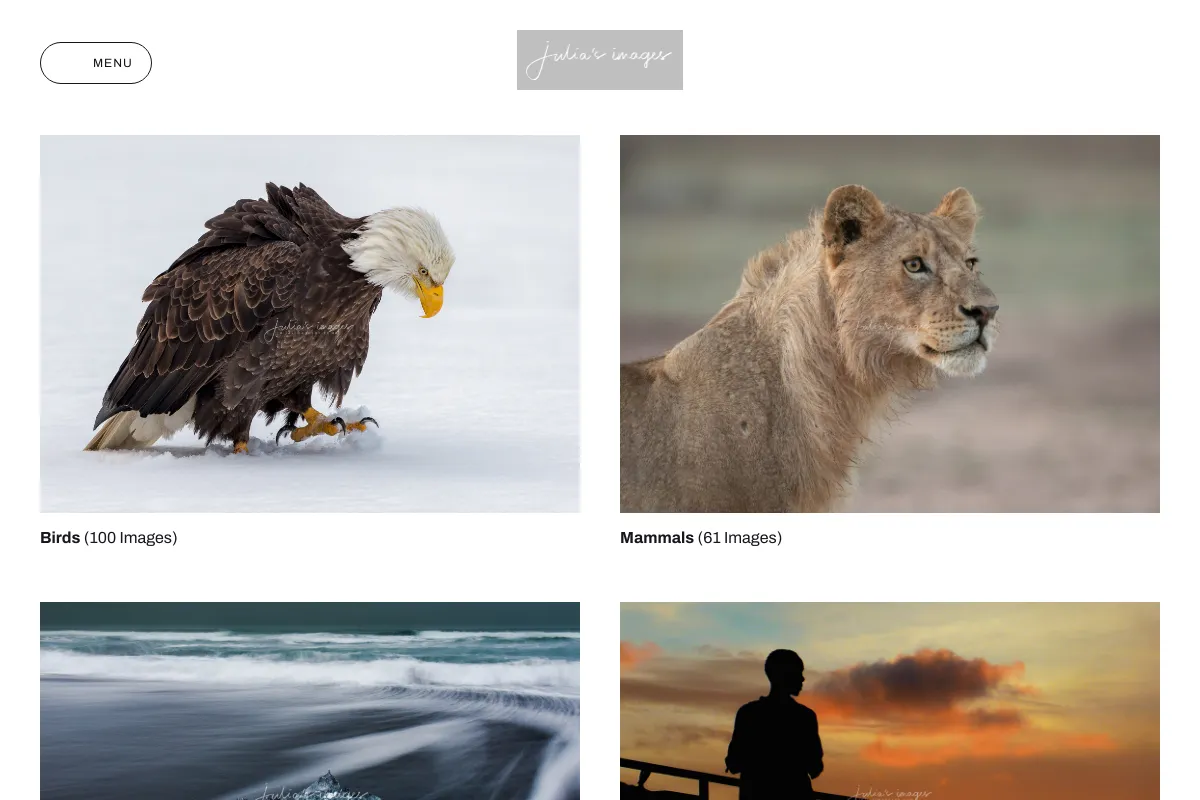 Julia's Images