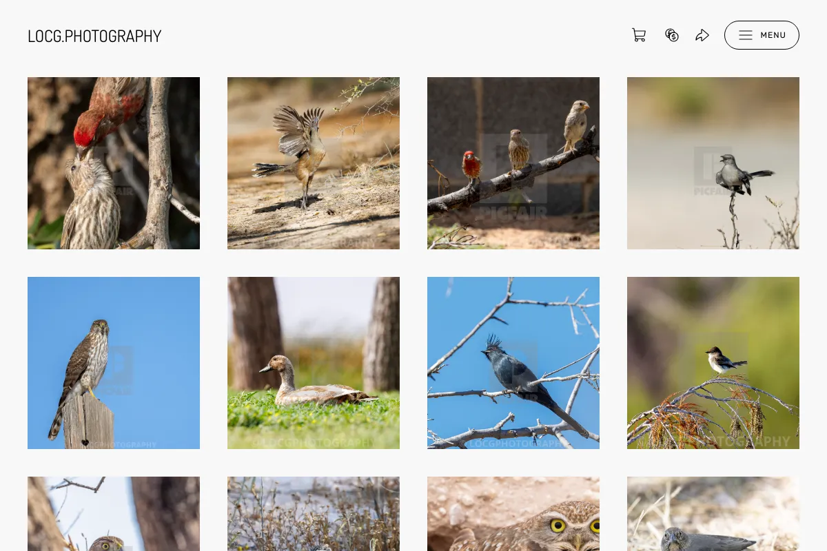 LOCG.PHOTOGRAPHY