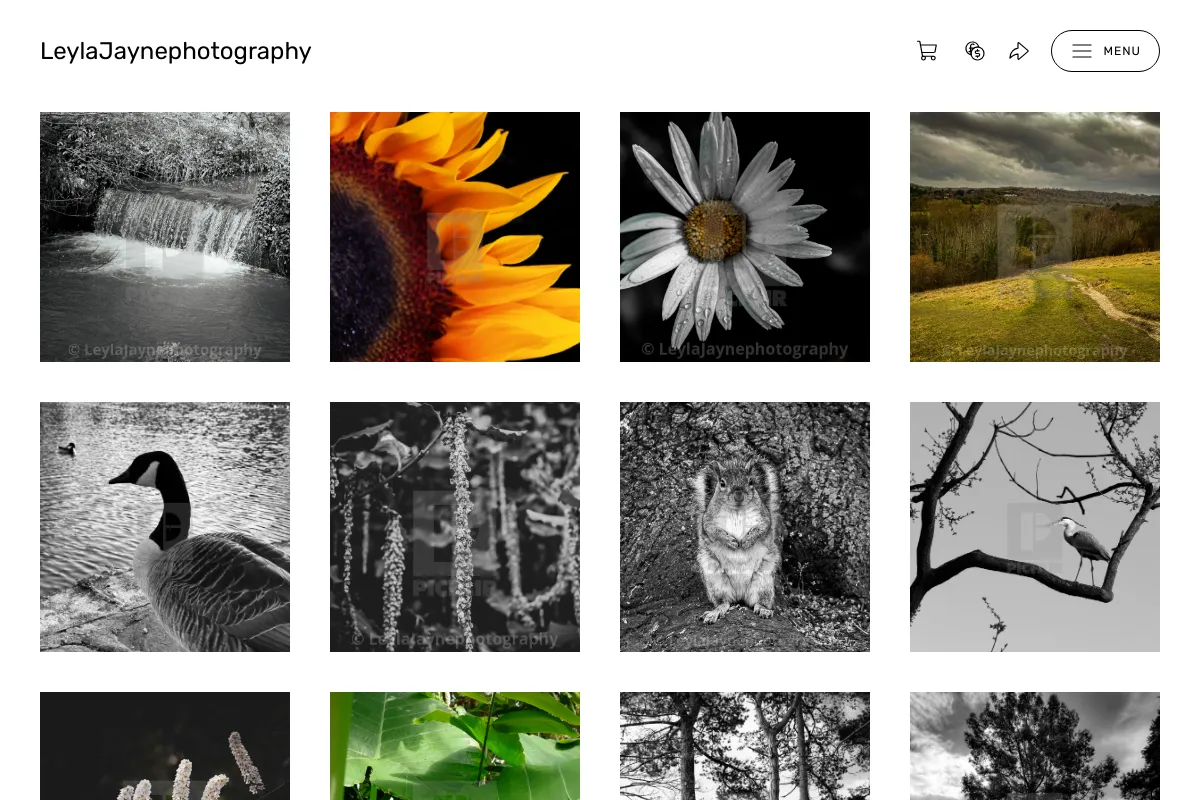 LeylaJaynephotography 