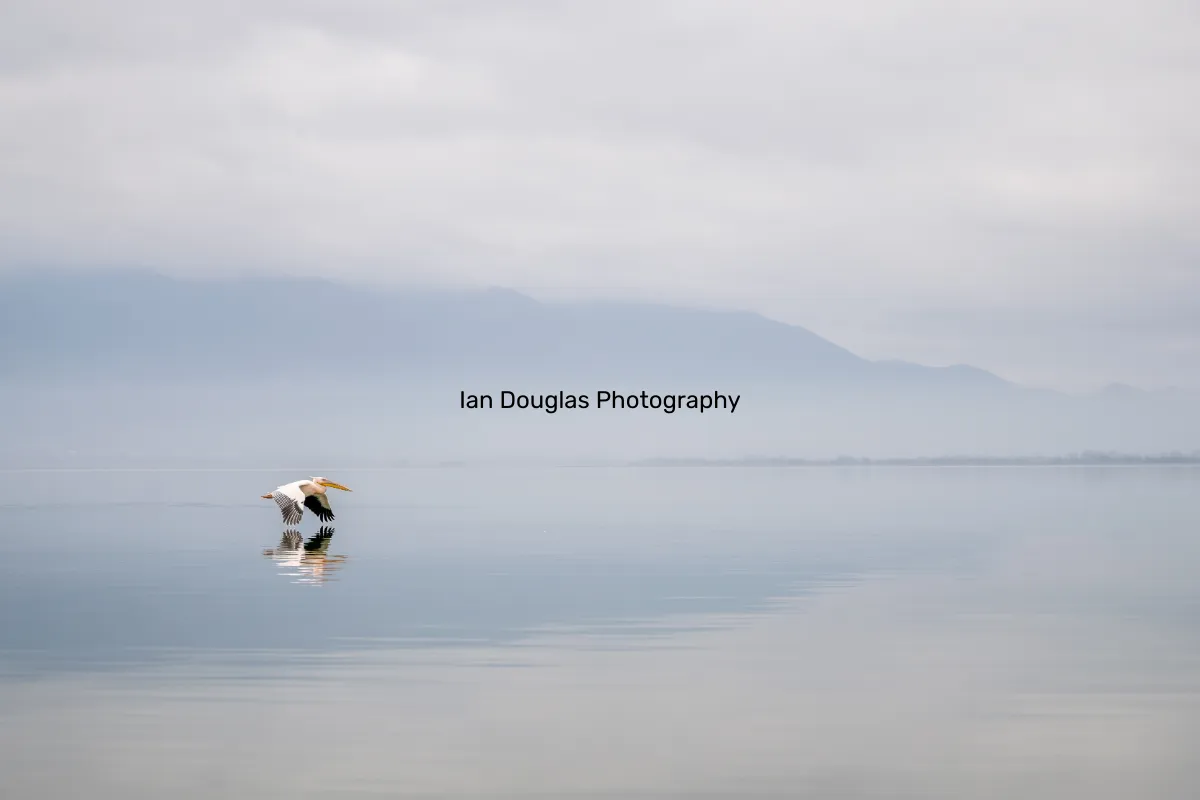 Ian Douglas Photography