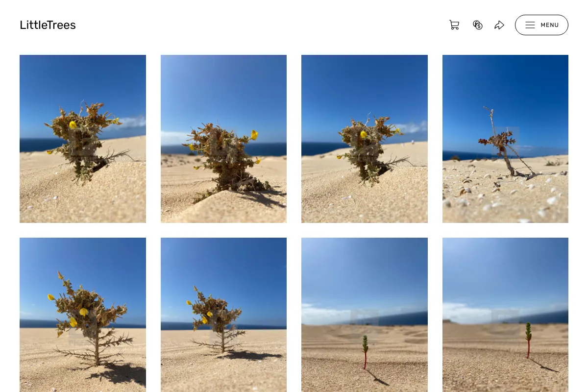 LittleTrees