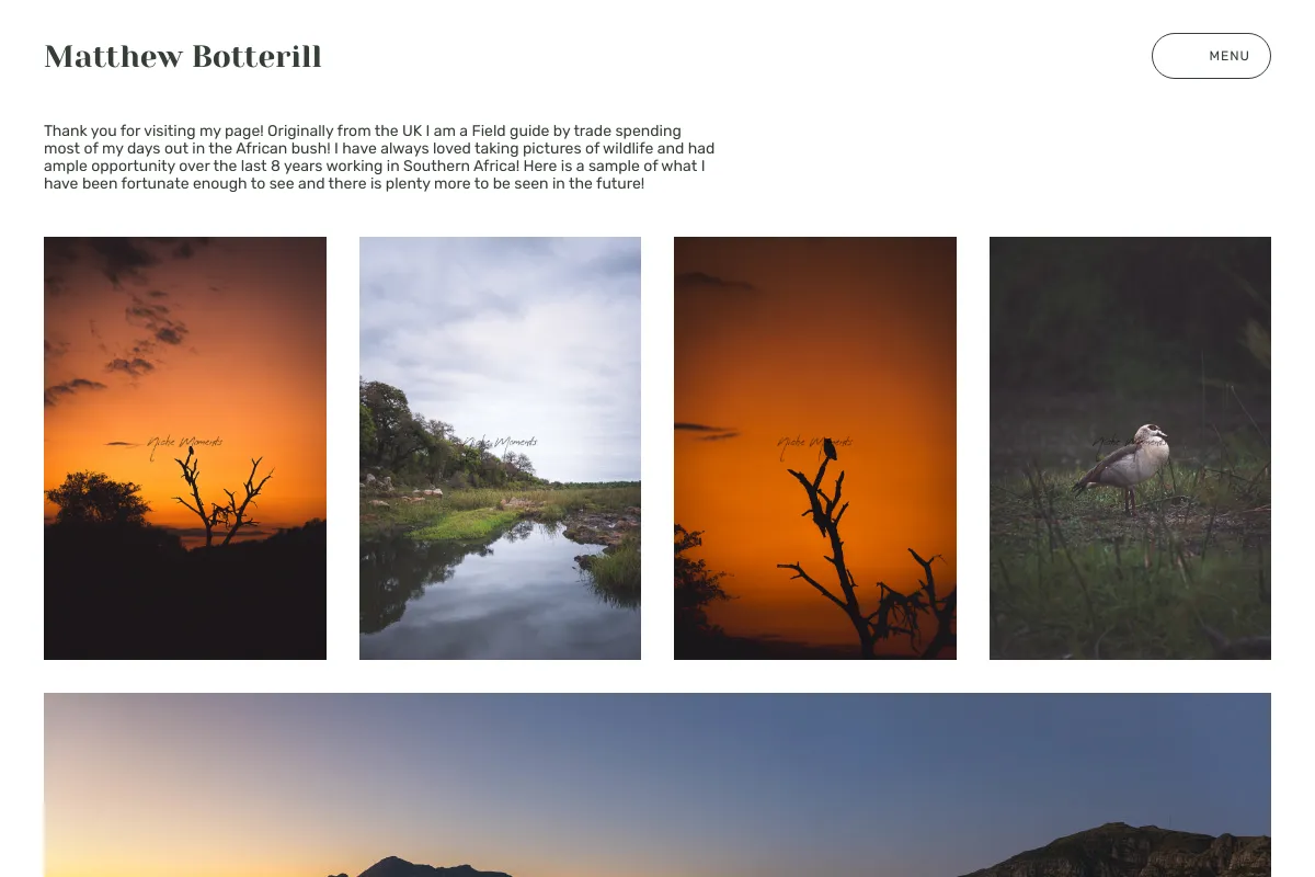 Matthew Botterill