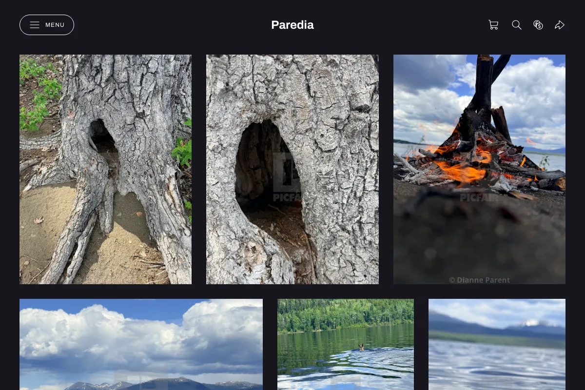 Paredia