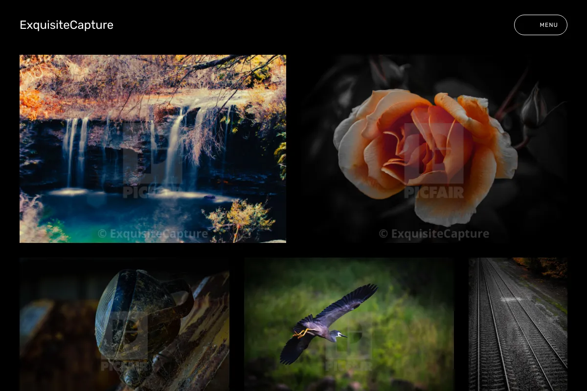 ExquisiteCapture