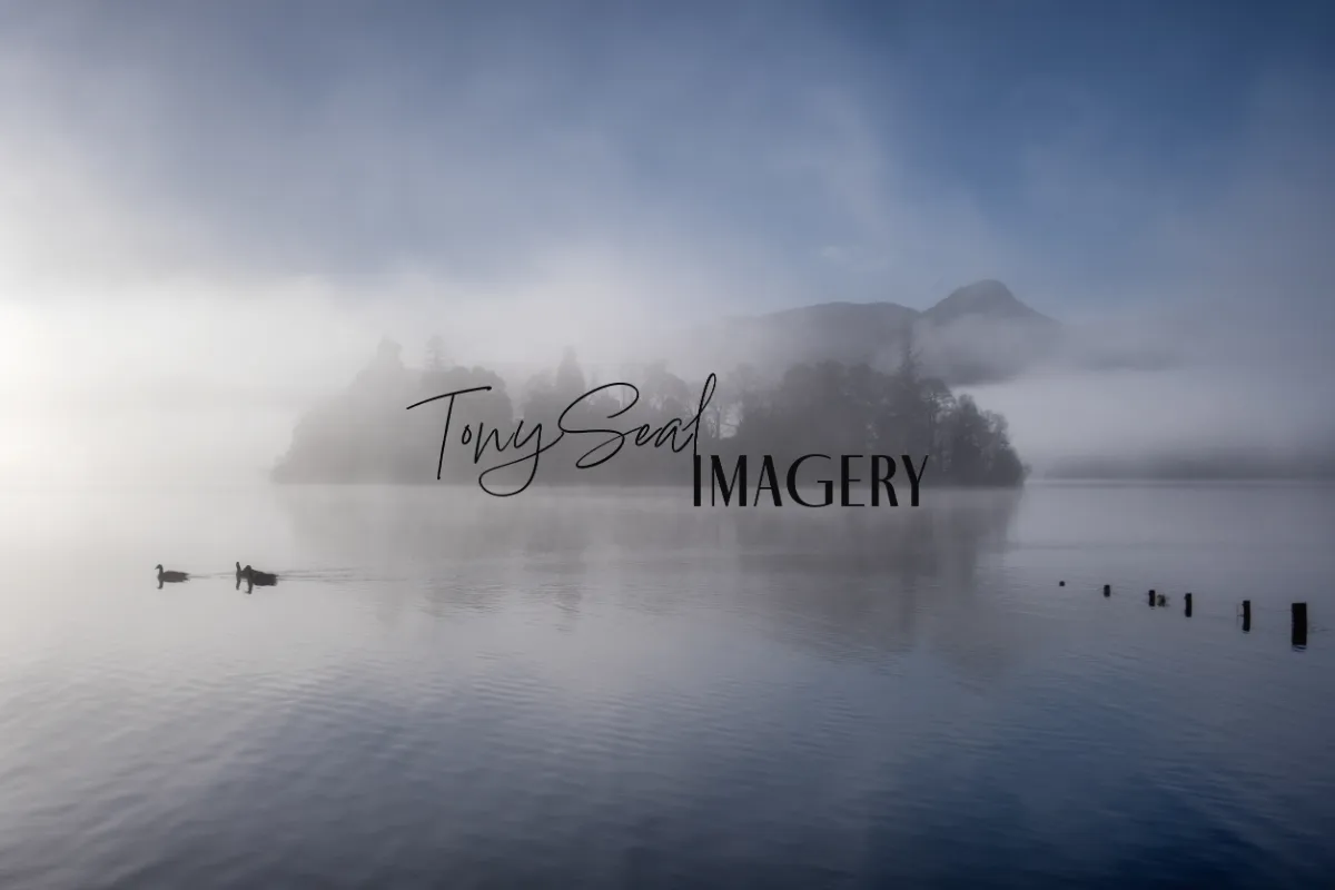 TonySealImagery