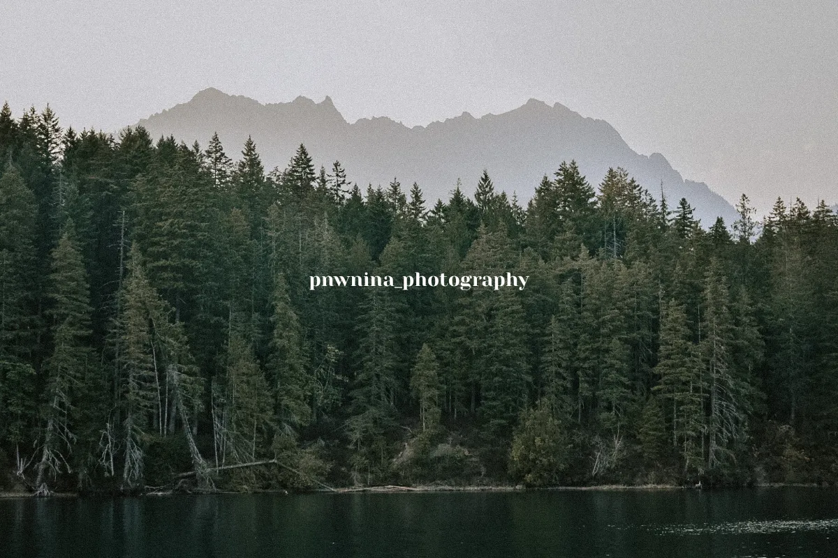 pnwnina_photography