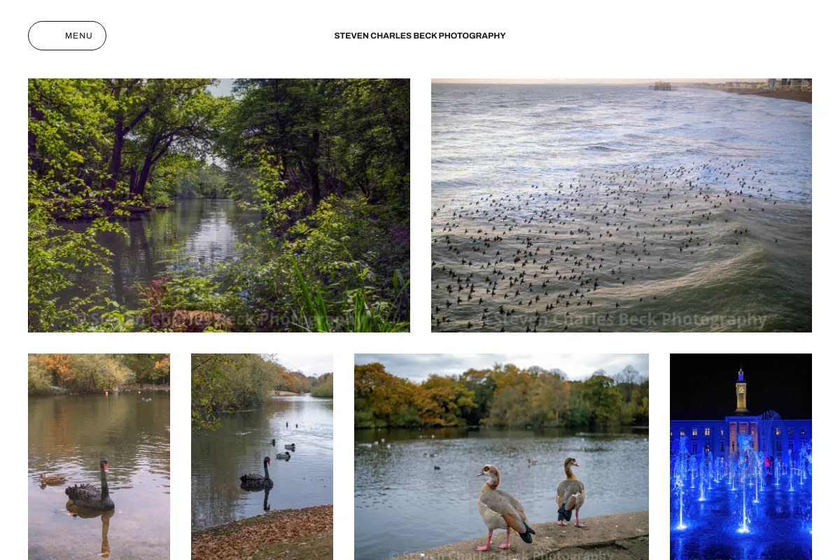 Steven Charles Beck Photography