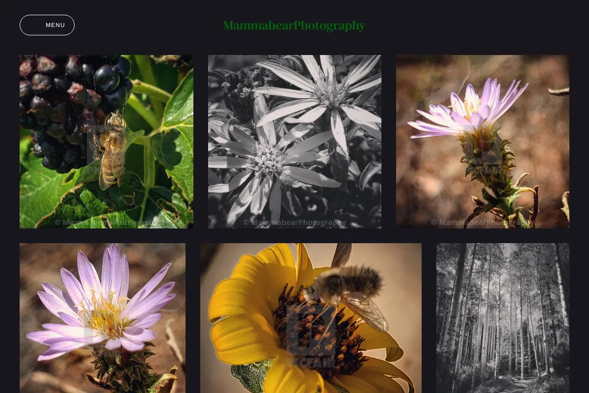 MammabearPhotography