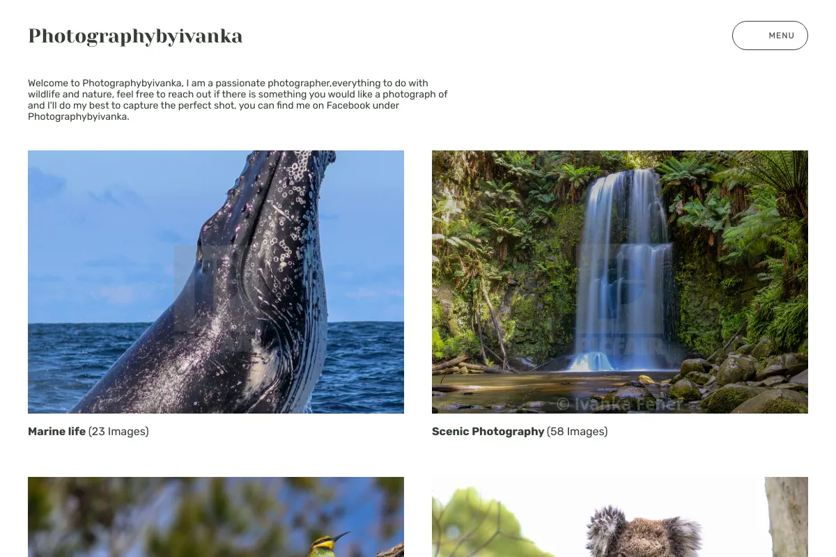 Photographybyivanka