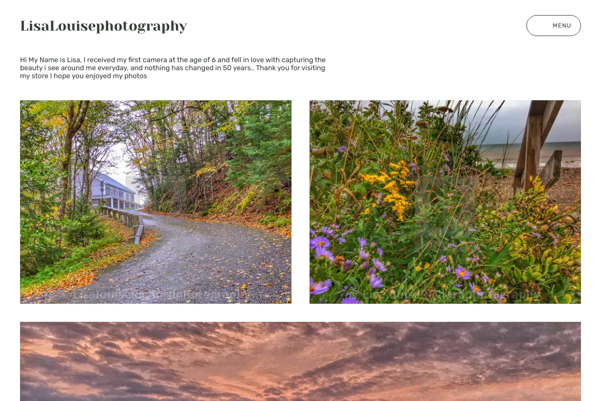 LisaLouisephotography