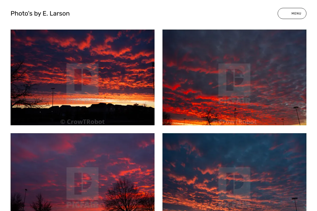 Photo's by E. Larson