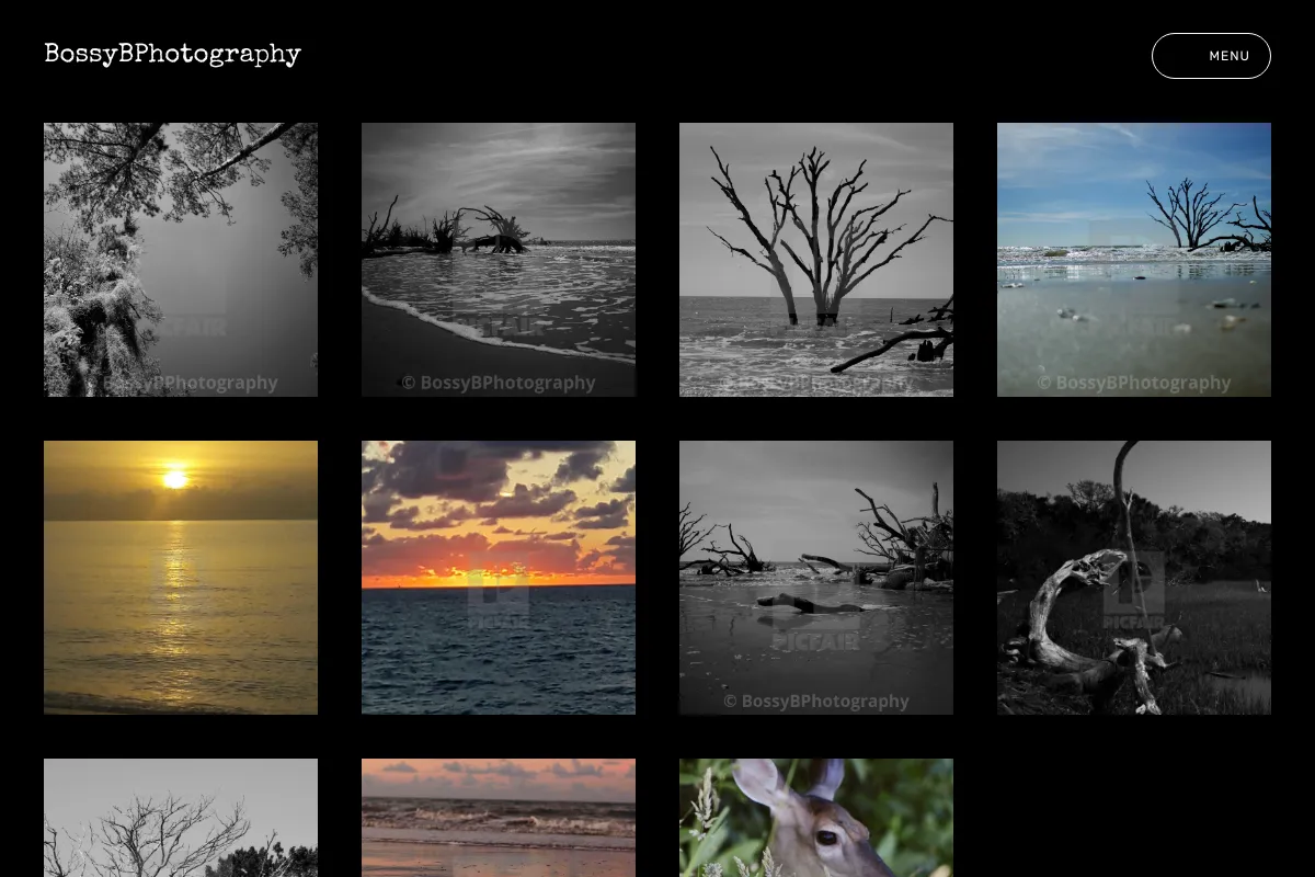 BossyBPhotography