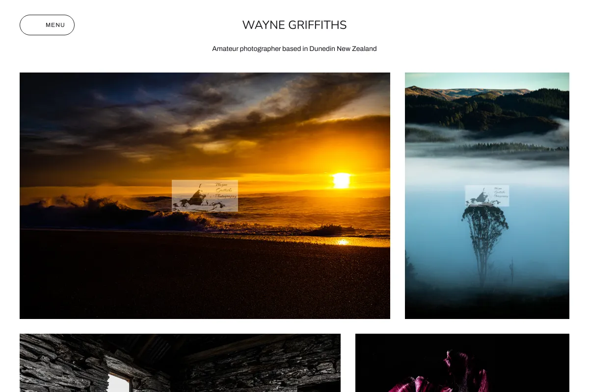 Wayne Griffiths