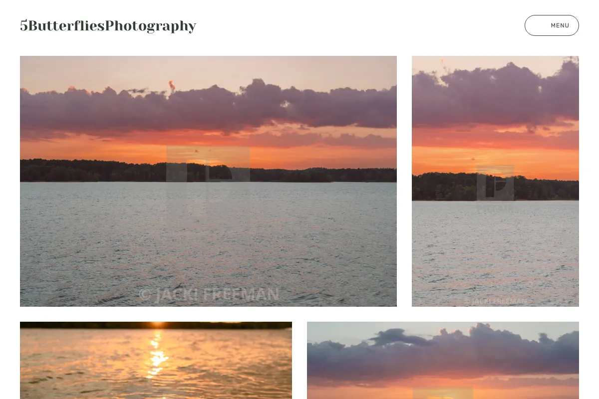 5ButterfliesPhotography