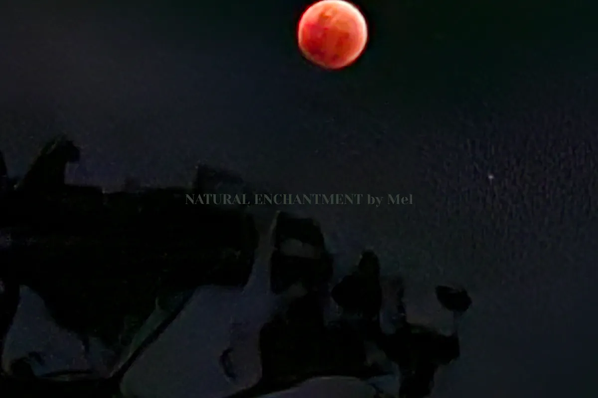 NATURAL ENCHANTMENT by Mel