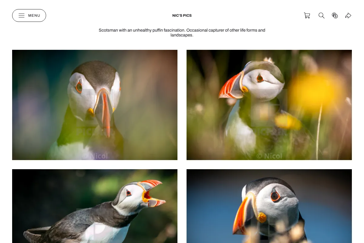 Nic’s pics