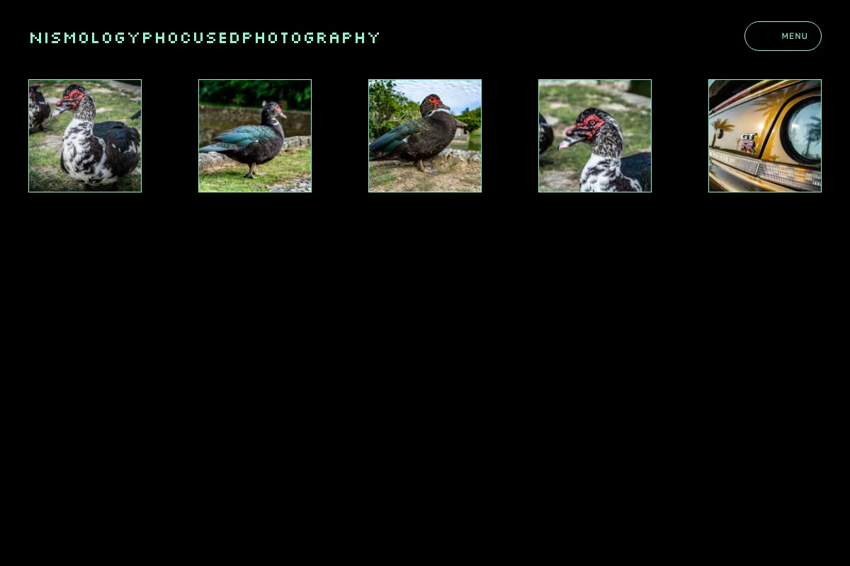 NismologyPhocusedPhotography