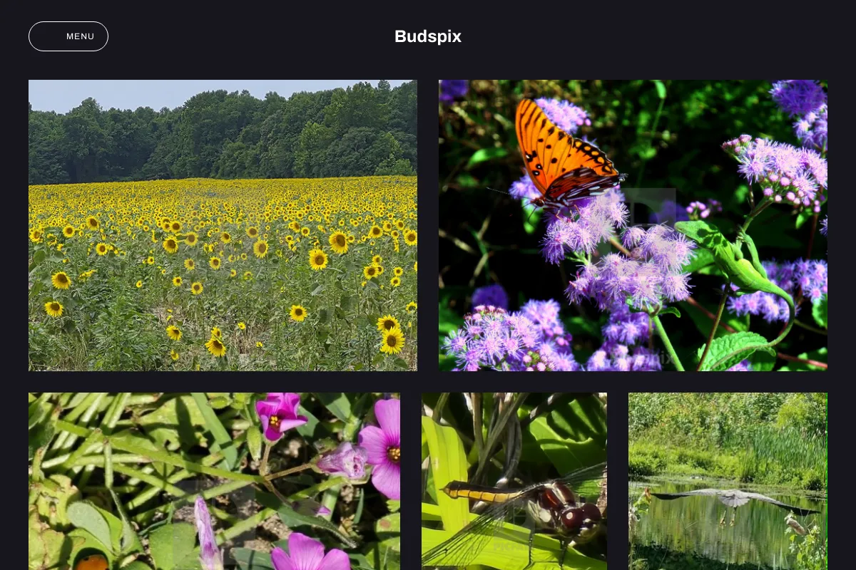 Budspix