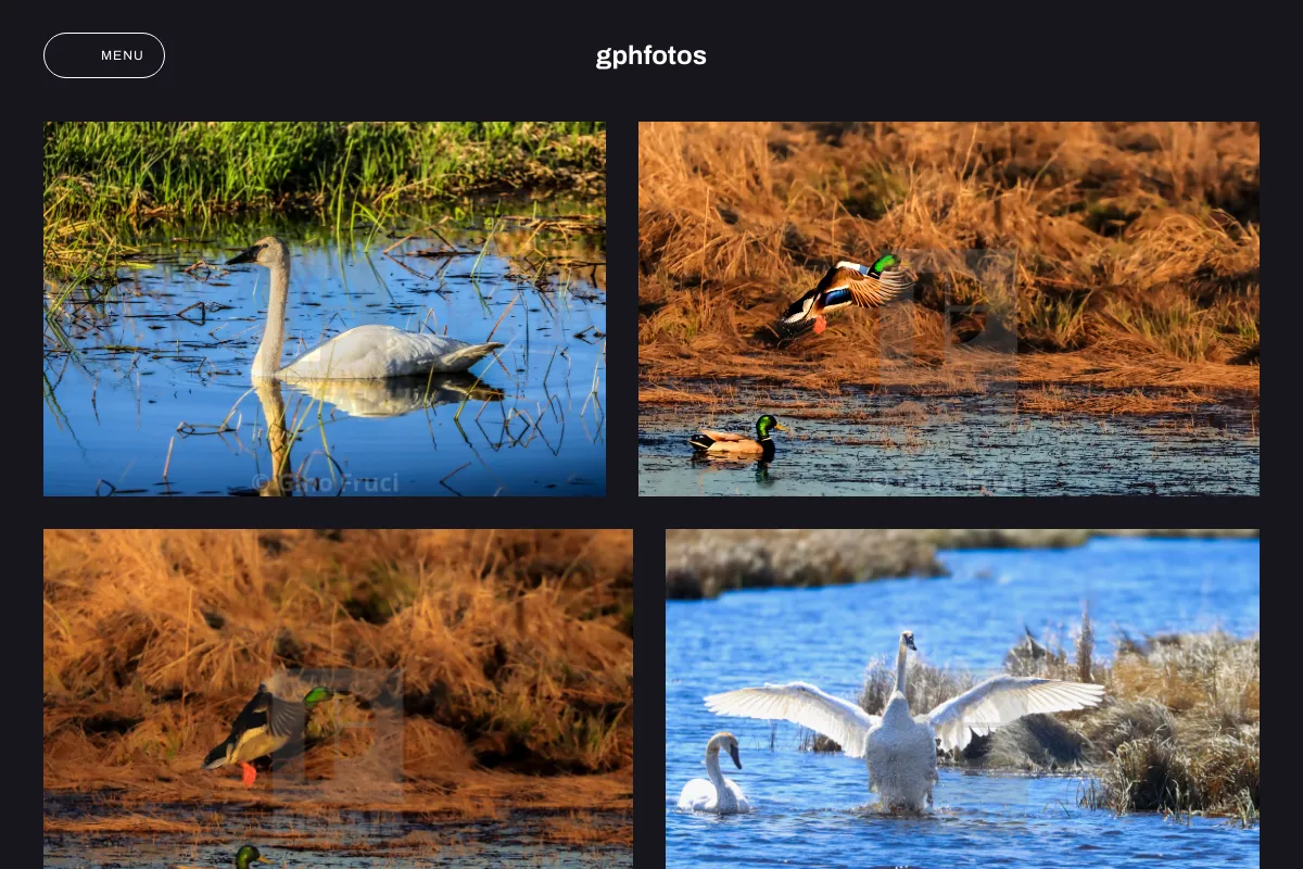 gphfotos