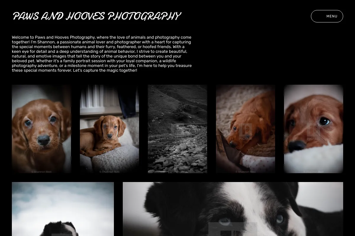 Paws And Hooves Photography