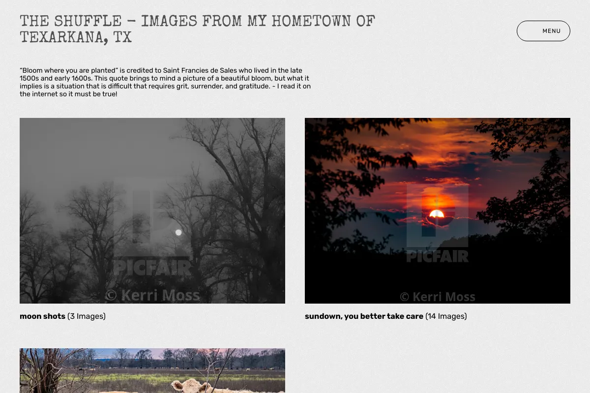 The Shuffle - Images from my hometown of Texarkana, TX