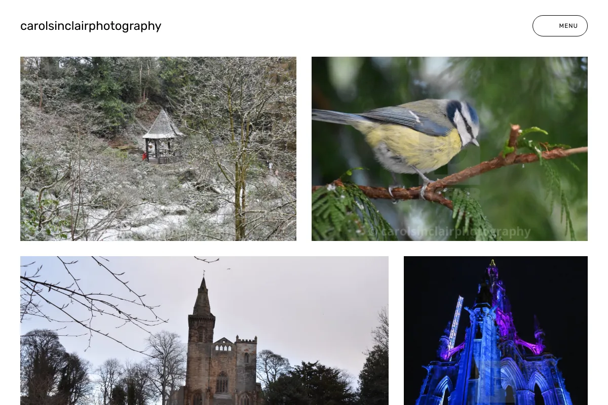 carolsinclairphotography
