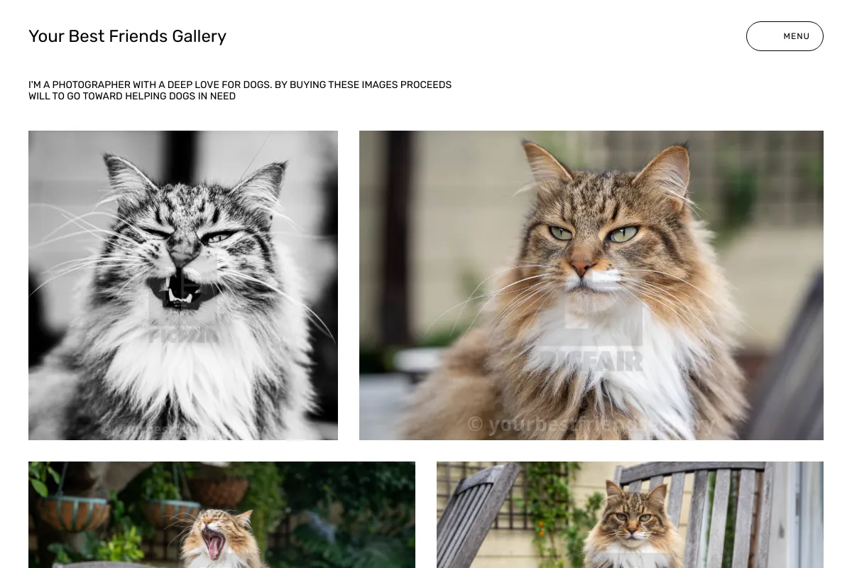 Your Best Friends Gallery