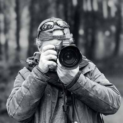 Woods Photography UK