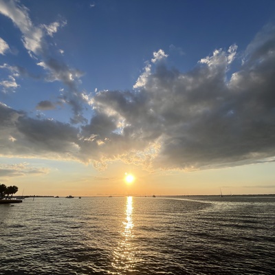 Punta Gorda through Avi's Lens