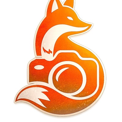 Velvet Fox Experiences 