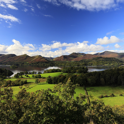 Dave Porter Landscapes